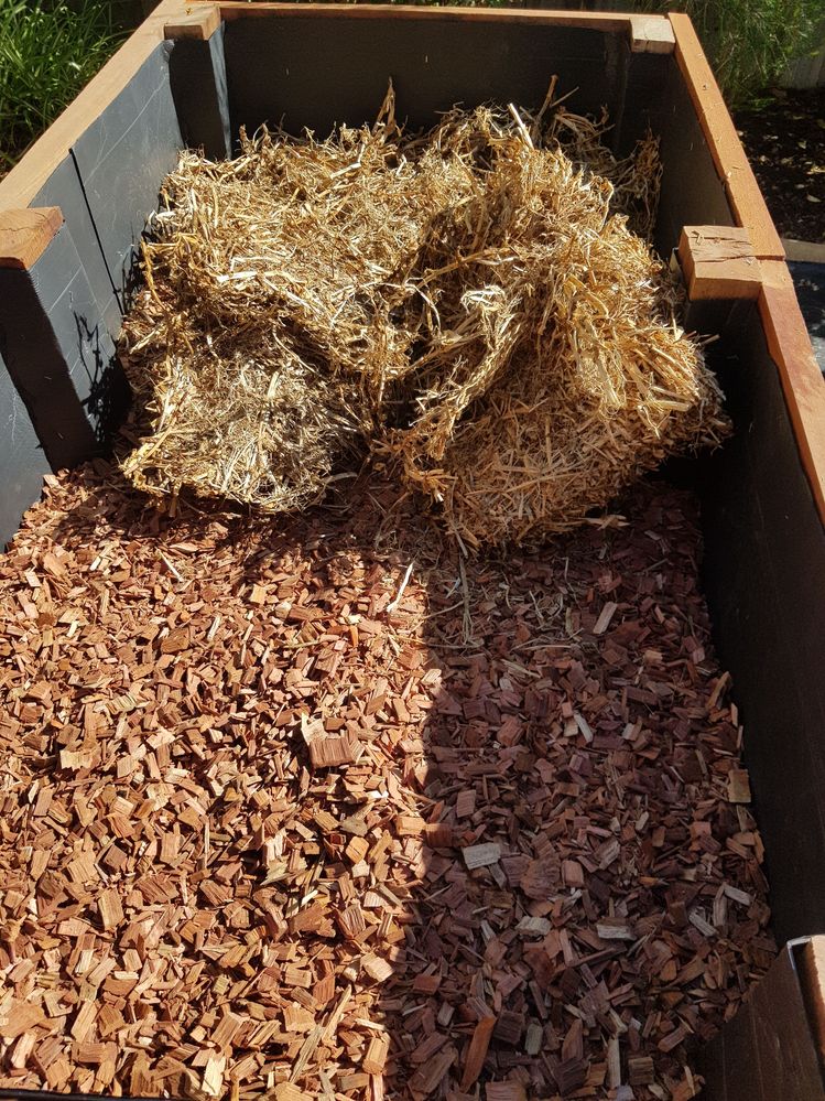 20200511_115522.jpg 20200511_115522.jpg