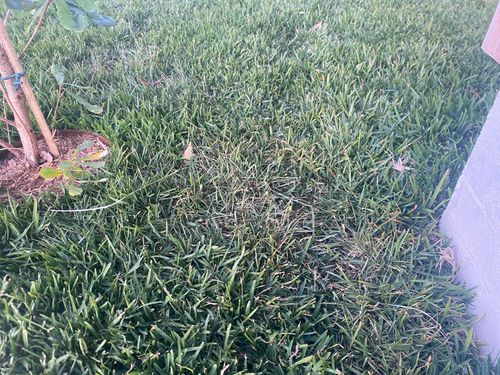 IMG_0419.jpeg IMG_0419.jpeg