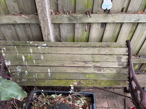 image0.jpeg image0.jpeg