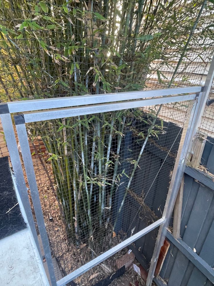 IMG_7130.jpeg IMG_7130.jpeg