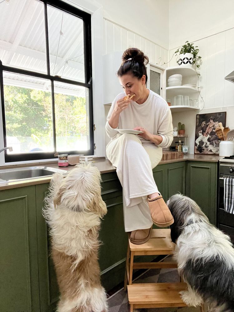 IMG_9680 (1).JPG IMG_9680 (1).JPG