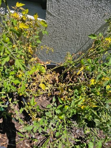 1000110467.jpg 1000110467.jpg