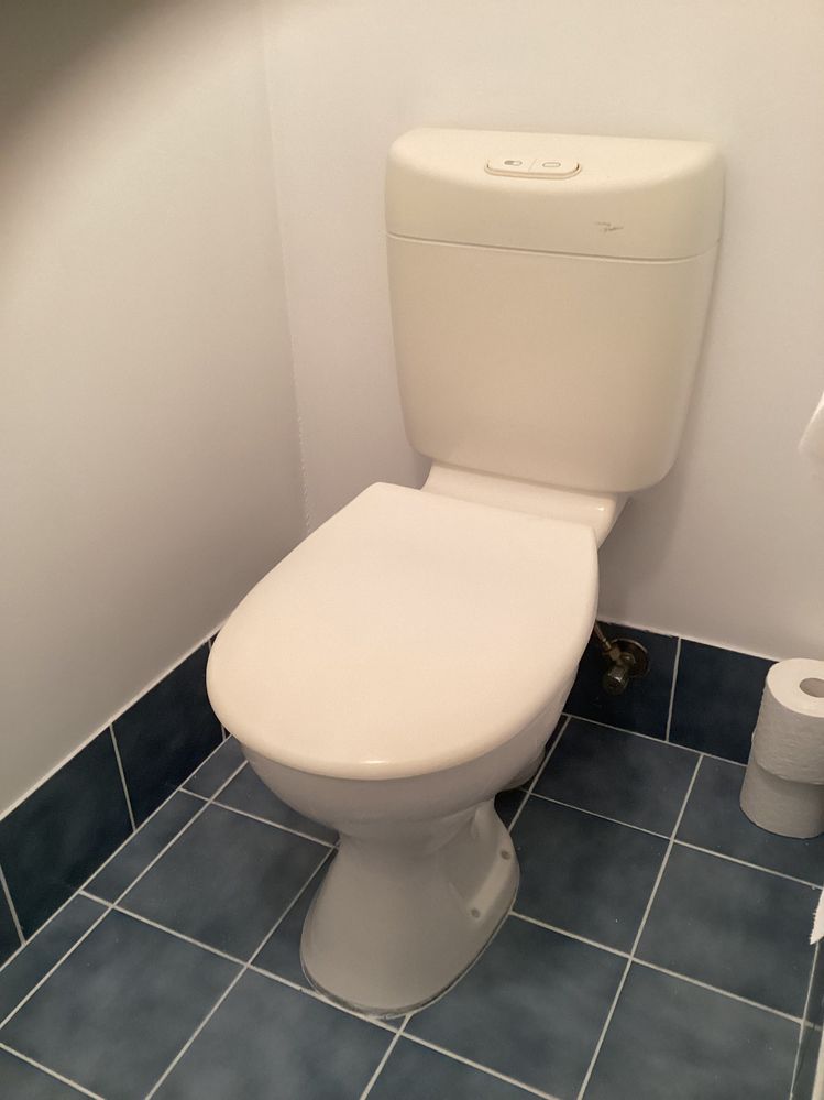 IMG_0136.jpeg IMG_0136.jpeg