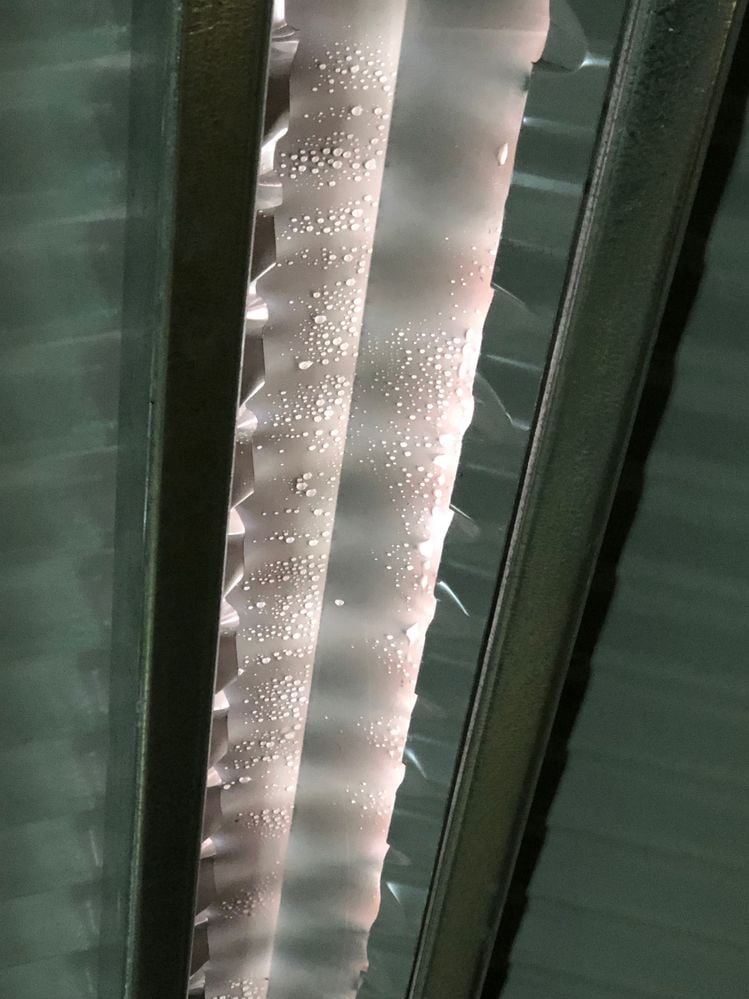 232365F1-047F-443D-843C-0FA79869D430.jpeg 232365F1-047F-443D-843C-0FA79869D430.jpeg