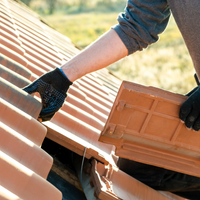 1.3 Professional assistance.png 1.3 Professional assistance.png