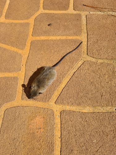 20220601_125651.jpg 20220601_125651.jpg