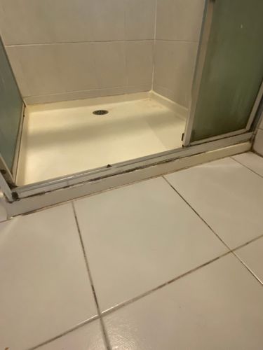 IMG_0291.jpeg IMG_0291.jpeg