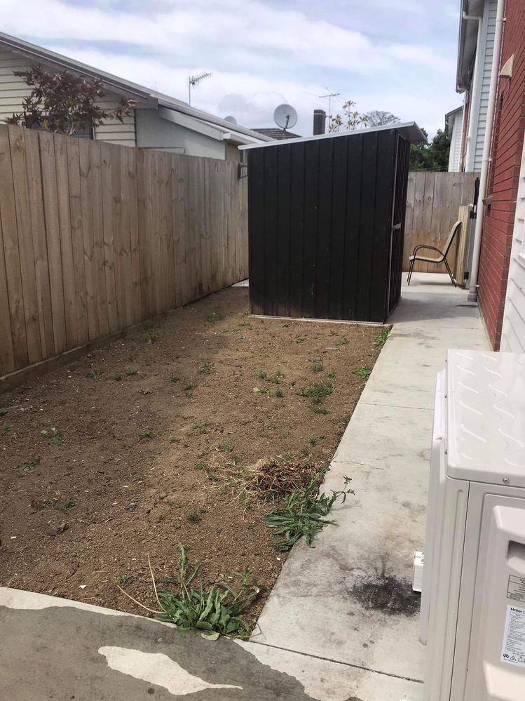 received_281480160743047.jpeg received_281480160743047.jpeg