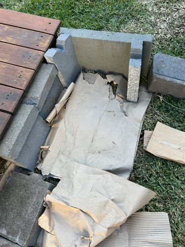 IMG_5582.jpeg IMG_5582.jpeg