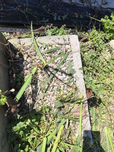 1000010262.jpg 1000010262.jpg