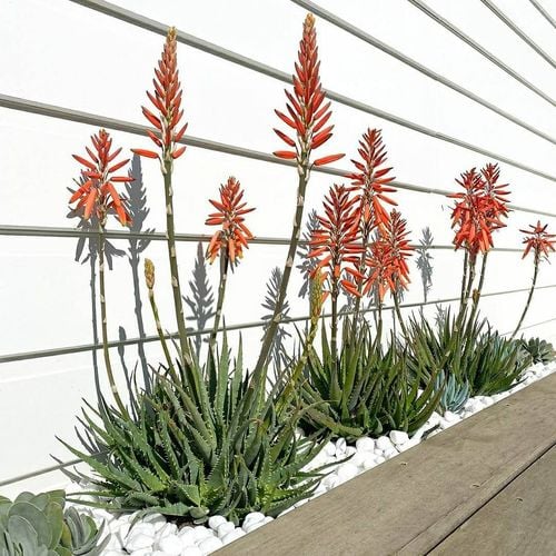 IMG_20200919_131822_545.jpg IMG_20200919_131822_545.jpg