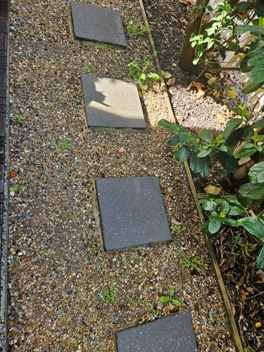 1000121806.jpg 1000121806.jpg