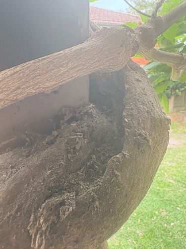 20423639-0E89-402F-93F7-B92A63819FCA.JPG 20423639-0E89-402F-93F7-B92A63819FCA.JPG