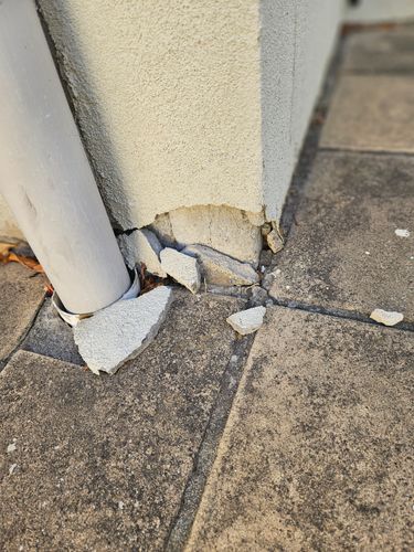 1000041497.jpg 1000041497.jpg