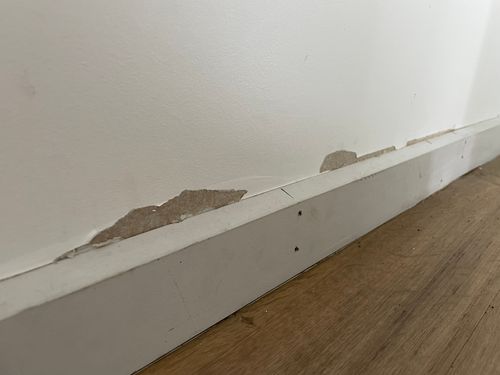 D3AF67BE-DBC0-4539-A52A-CE7C3CE3B30D.jpeg D3AF67BE-DBC0-4539-A52A-CE7C3CE3B30D.jpeg