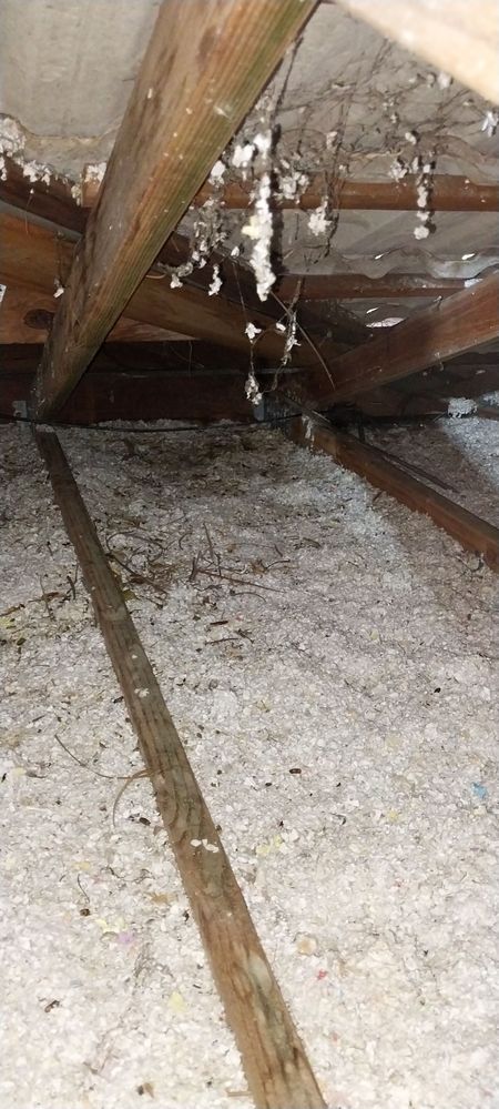 20241124_122756.jpg 20241124_122756.jpg