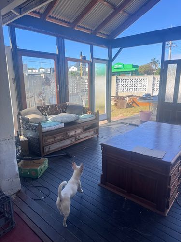 IMG_6839.jpeg IMG_6839.jpeg