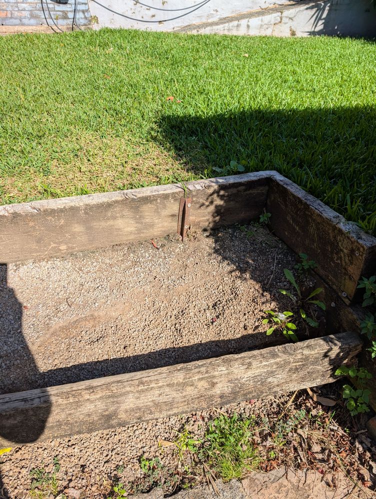 PXL_20250317_223343183.jpg PXL_20250317_223343183.jpg