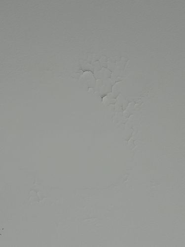 IMG_7013.jpeg IMG_7013.jpeg