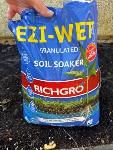 IMG_3286.jpeg IMG_3286.jpeg