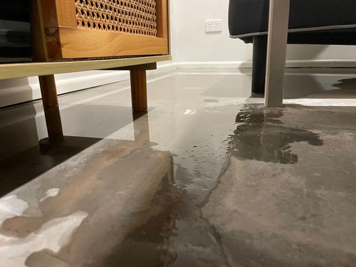 IMG_0724.jpeg IMG_0724.jpeg