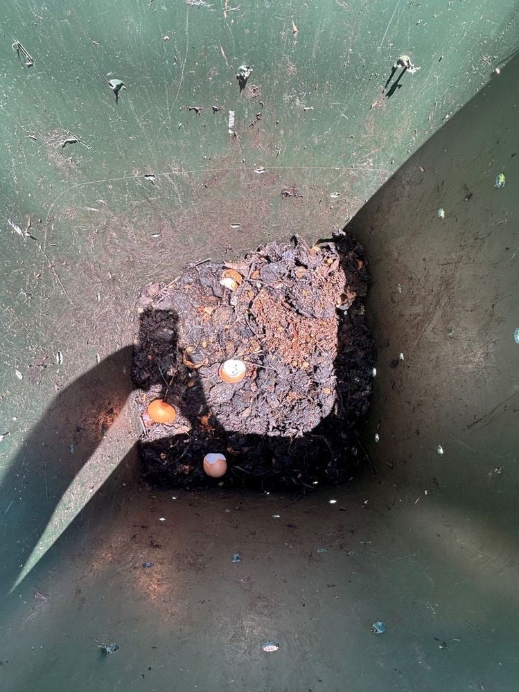 IMG_5485.jpg IMG_5485.jpg