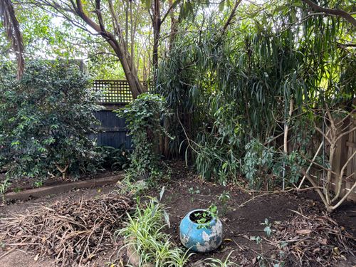 IMG_0530.jpeg IMG_0530.jpeg