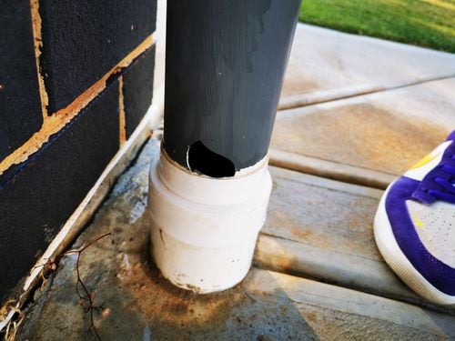 IMG_20240622_151415.jpg IMG_20240622_151415.jpg