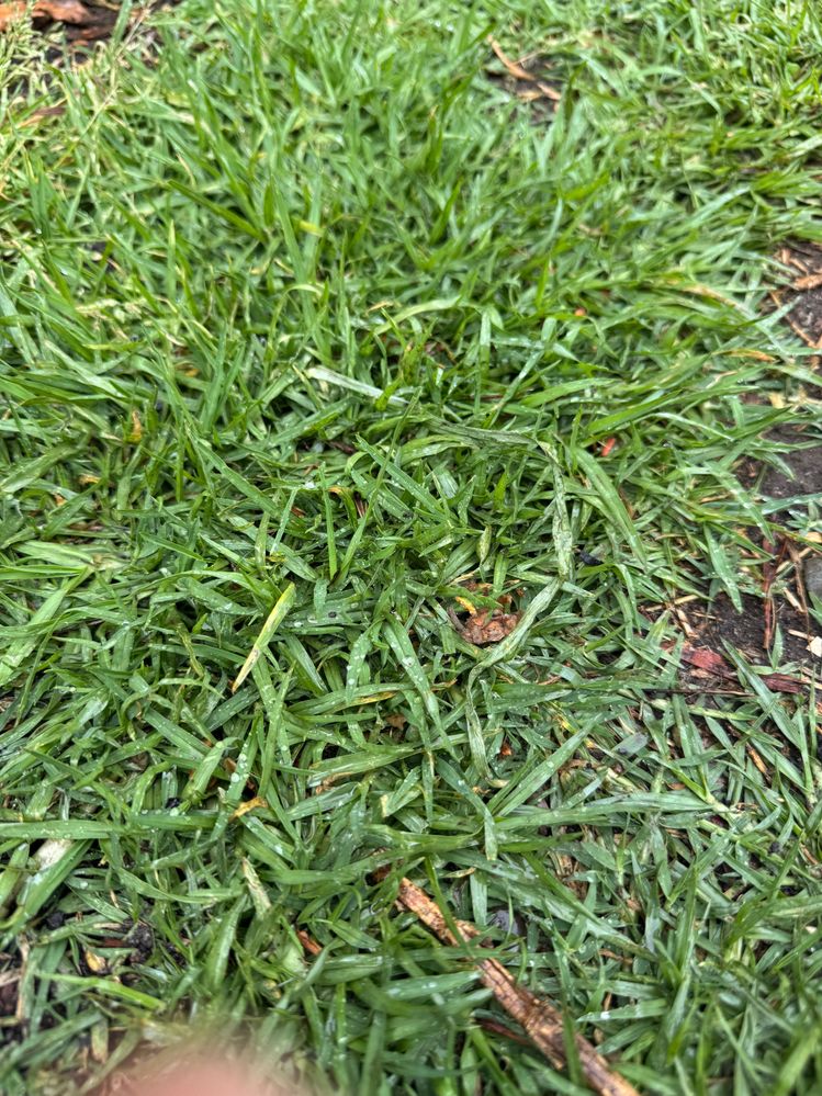 IMG_6070.jpg IMG_6070.jpg