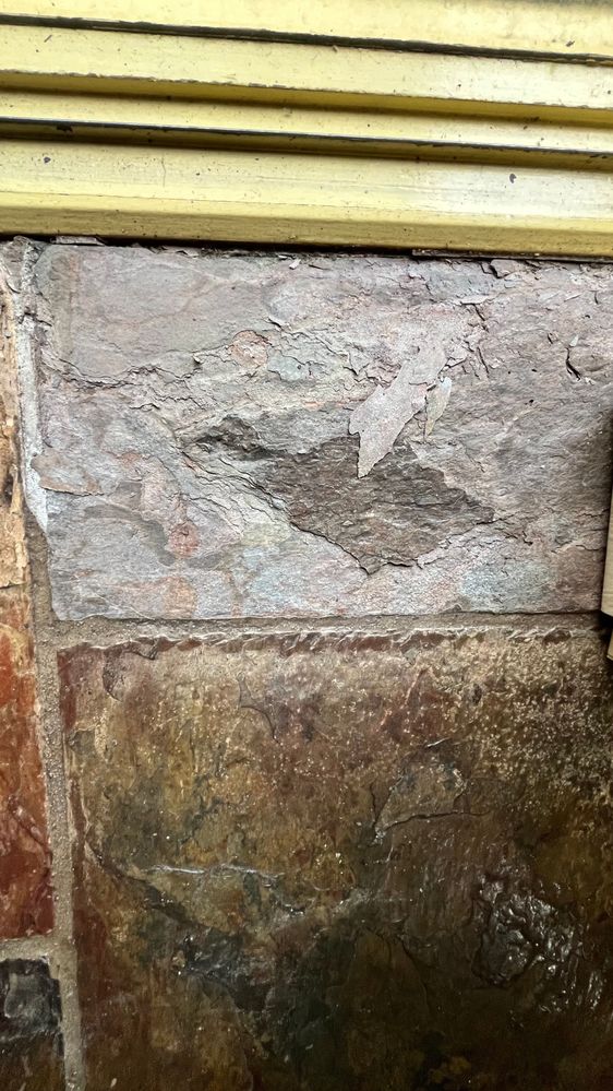 IMG_3245.jpg IMG_3245.jpg