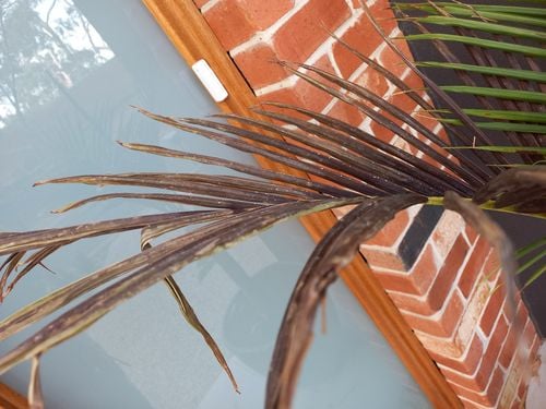 20241230_083156.jpg 20241230_083156.jpg