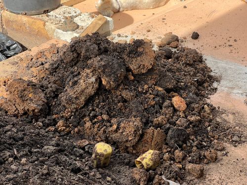 IMG_8677.jpeg IMG_8677.jpeg