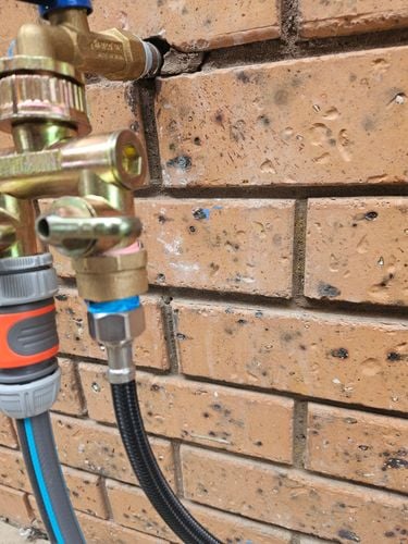 1000011283.jpg 1000011283.jpg