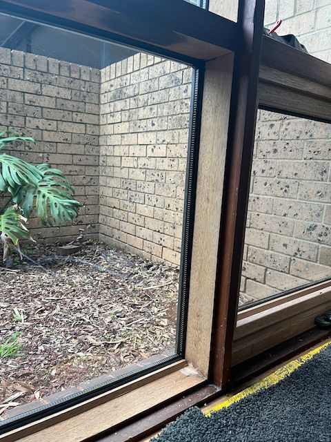 IMG_3931.jpeg IMG_3931.jpeg