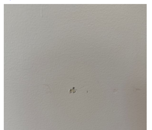 mccarthyelaine7_1-1741931178730.png mccarthyelaine7_1-1741931178730.png