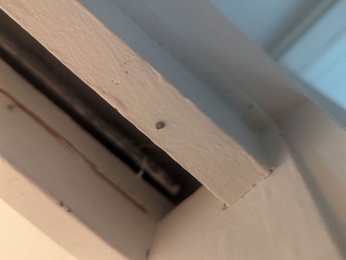 1000029121.jpg 1000029121.jpg