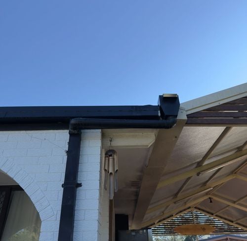 IMG_2503.jpeg IMG_2503.jpeg