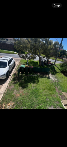 IMG_1217.png IMG_1217.png