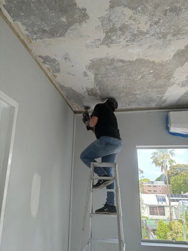 IMG_0786.jpeg IMG_0786.jpeg