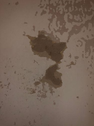 IMG_8845.jpeg IMG_8845.jpeg