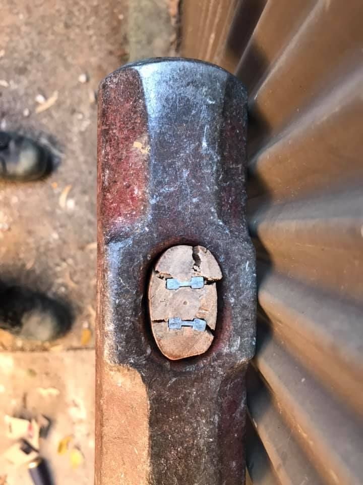 15 19-04-2021.jpg 15 19-04-2021.jpg