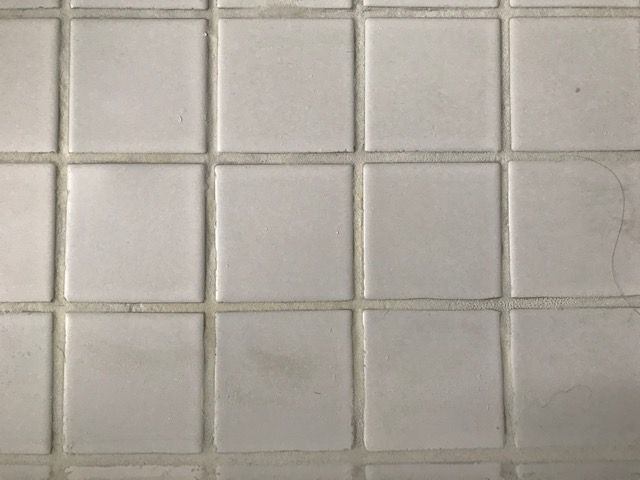 IMG_1719.jpg IMG_1719.jpg