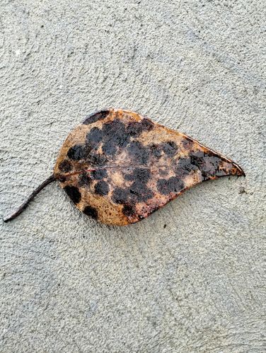 1000002634.jpg 1000002634.jpg