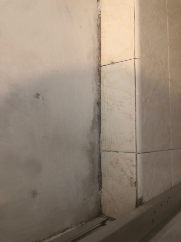 IMG_1149.jpg IMG_1149.jpg