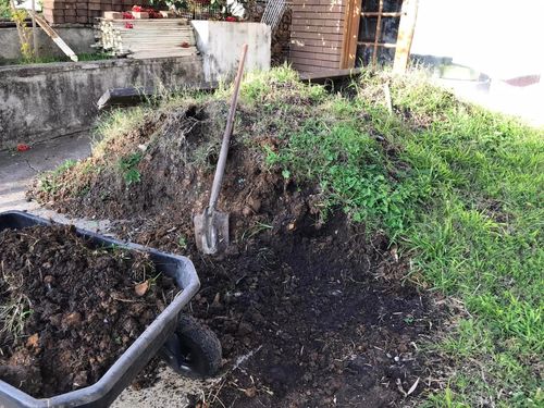 29 14-07-2022.jpg 29 14-07-2022.jpg