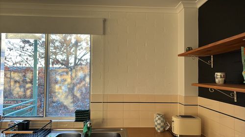 IMG_4190.jpeg IMG_4190.jpeg