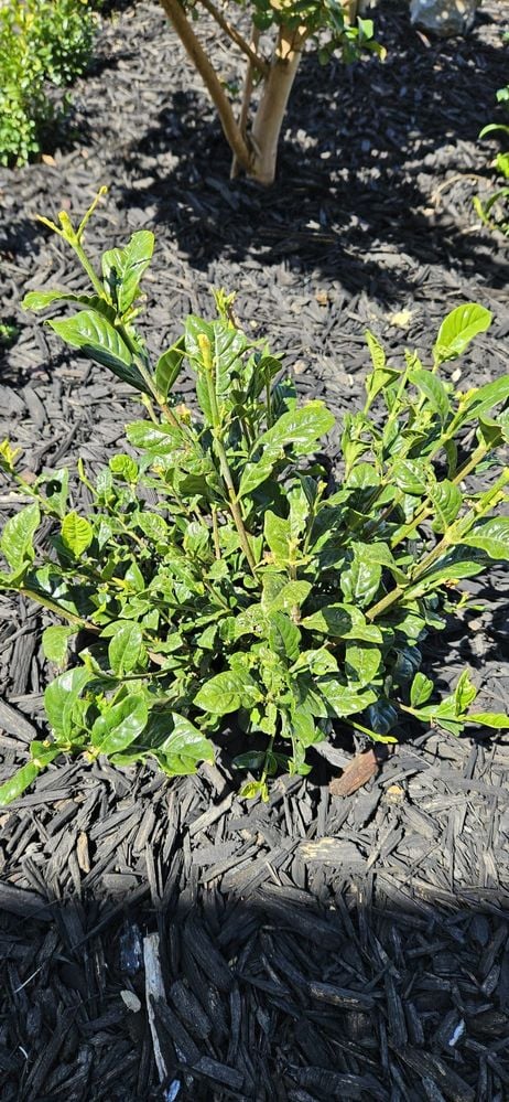 WhatsApp Image 2024-01-30 at 11.31.15_5bbdc670.jpg WhatsApp Image 2024-01-30 at 11.31.15_5bbdc670.jpg