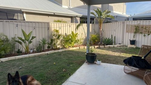 d2e5615d-3a84-4df2-b017-ec6afc9daf9c-1_all_91.jpg d2e5615d-3a84-4df2-b017-ec6afc9daf9c-1_all_91.jpg