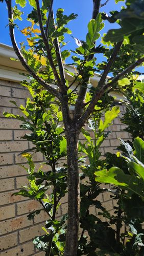 1000017876.jpg 1000017876.jpg