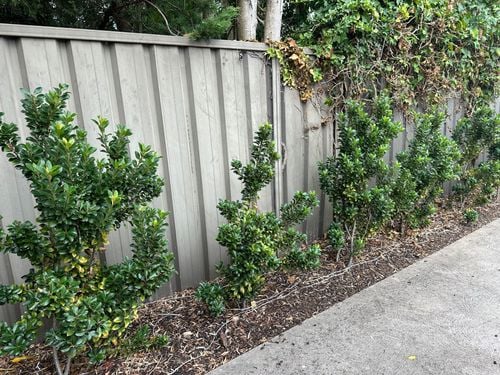 IMG_8636.jpeg IMG_8636.jpeg